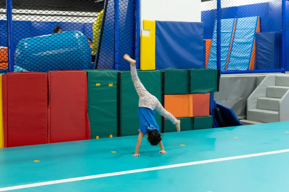 Beary Fun Gym-handstand