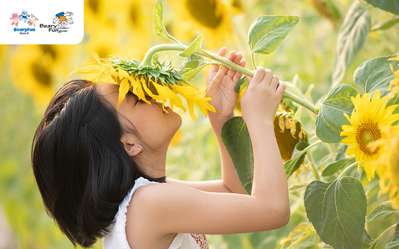 Child sniffing a sunflower in a field